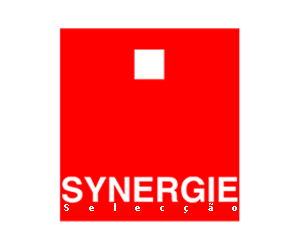 Synergie - Porto